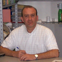 Alessandro Bellini