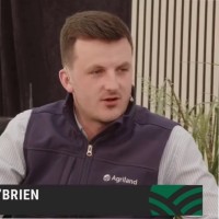 Breifne O Brien