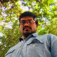 Raghavendra Chitturi