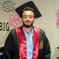 Mohamed El-Halwany