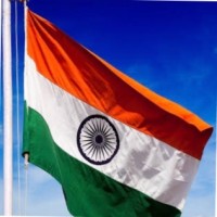 Dinesh K Singh