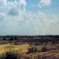 Arik Caspi
