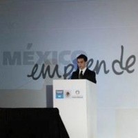 Francisco Pérez Nardoni