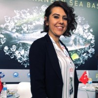 Mine Gümüşoğlu Arslan