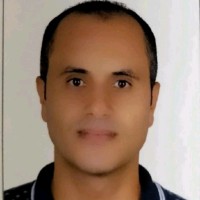 Adel Shokry
