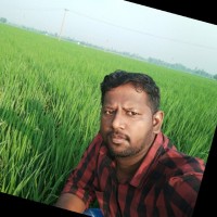 Vetri Vel