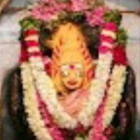 Nimmyambrose Vivek