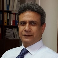 Mansour Abdelgawad Metwaly