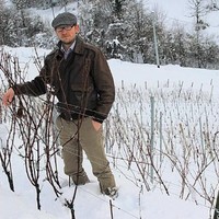 Corrado Eridani