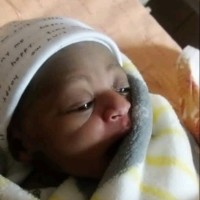 Chireshe Fanah