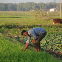 Arun prasad yadhav Rajendran