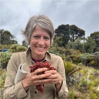 Julie Loisel