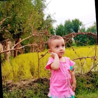 Shafiqullah Alokozay