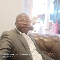 Alban Paterne Banzouzi Nzaou