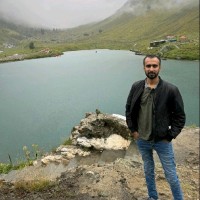 Haseeb Tariq