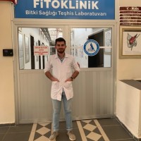 Yücel Yavuz
