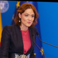 Silvia Dinica