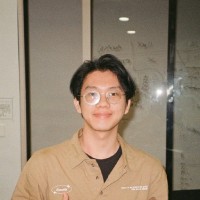 Peter D Lim