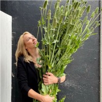 Ingrid Blinksma