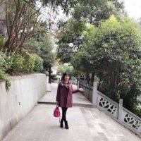 李雨桦