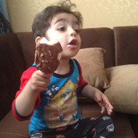 S.Hamid Boruhan