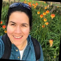 Andrea Arguello-Marin
