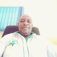 Stephen Gambo