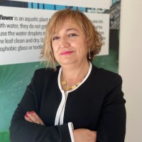 Laura M. Lechuga