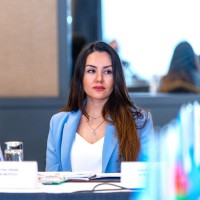 Fitat Mehdisoy
