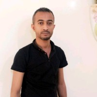 zayed sultan