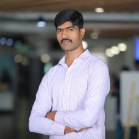 Venkata Raju N