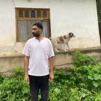 Saeed Rastegar