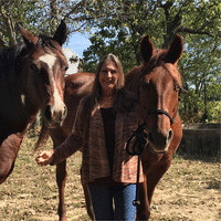 Loretta Cantrell