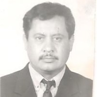 Tino Dominguez Hdz