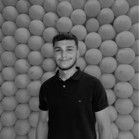 Mehdi Erol