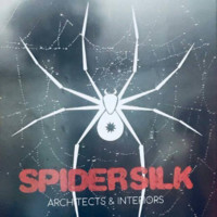 Spider Silk