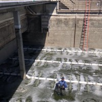 Steve Lepori