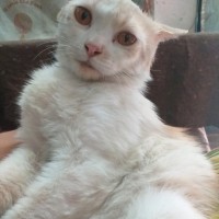 Khadijafarhan Farhan