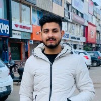 Ansh Malik