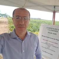 Remidijo Tomazini