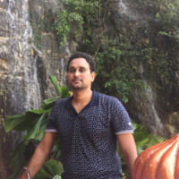 Raman Singh