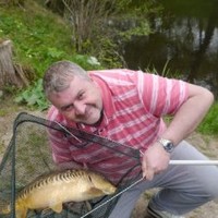 mark mardon