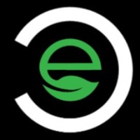 Ekolo Consulting