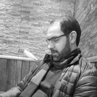 Haitham N