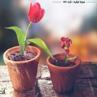 Afnan Awamleh