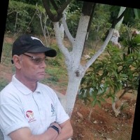 Syed Shabbir Ali