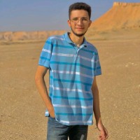 Hossam Zayed