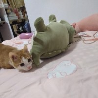 刘星岩