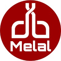 Amene Aghaei