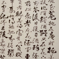 Yang Sun